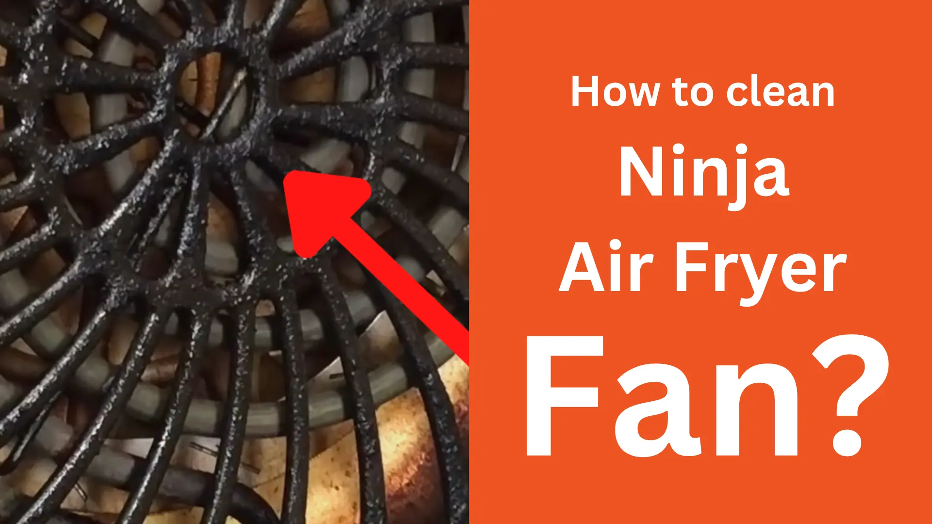 How to clean Ninja air fryer fan